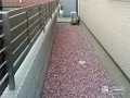 犬走りのカラー砂利敷き