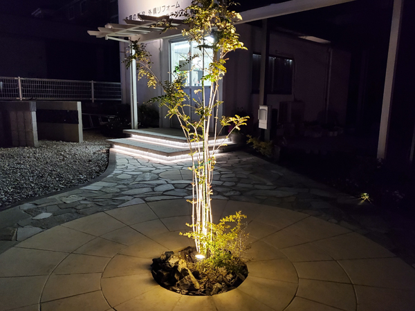 ガーデンプラス鹿児島のライトアップされたシンボルツリー