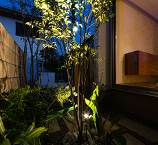 植物を美しく引き立てる夜の坪庭
